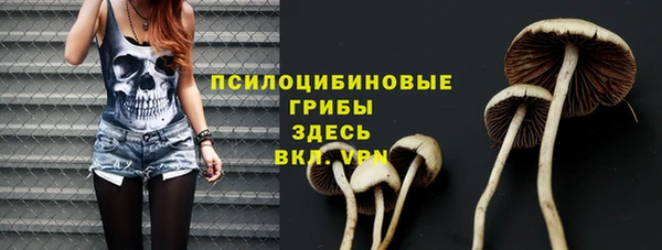 прущие крисы Заводоуковск