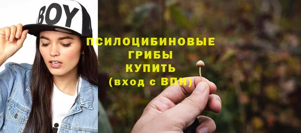 прущие крисы Заводоуковск