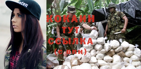 прущие крисы Заводоуковск