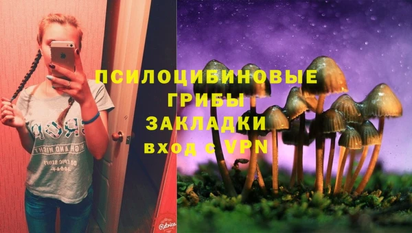 прущие крисы Заводоуковск