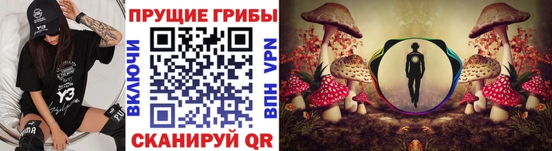 Псилоцибиновые грибы MAGIC MUSHROOMS  Купить где  Рыльск 